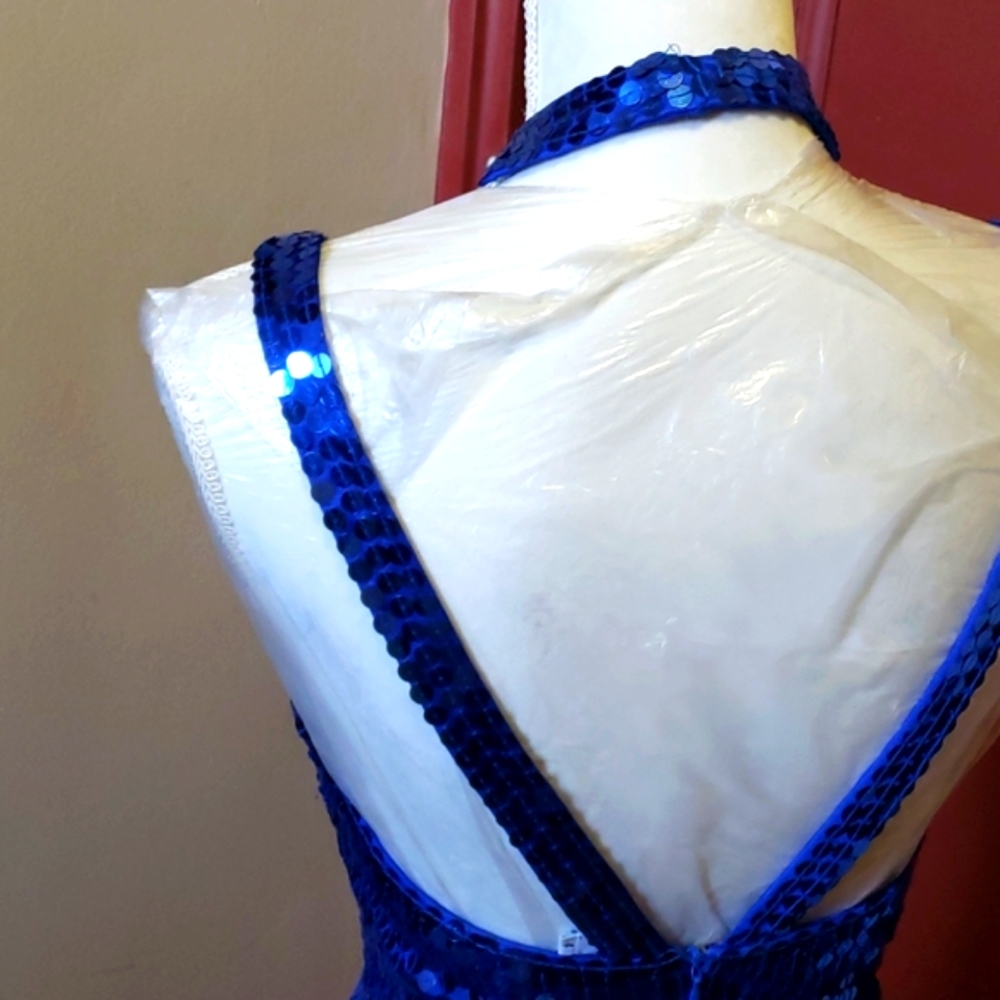 Peak Evenings Prom/Evening Sequin Dress SZ 4 - Picture 7 of 11